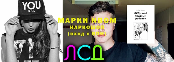 мяу мяу мука Аркадак