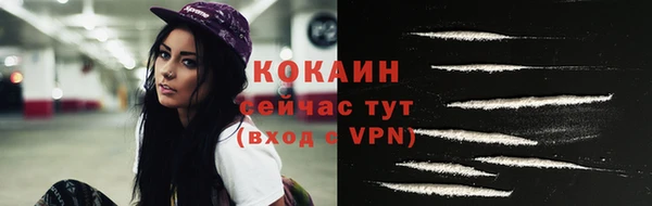 мяу мяу мука Аркадак