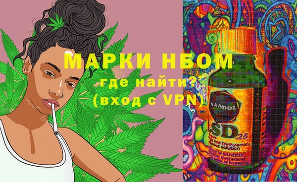 мяу мяу мука Аркадак