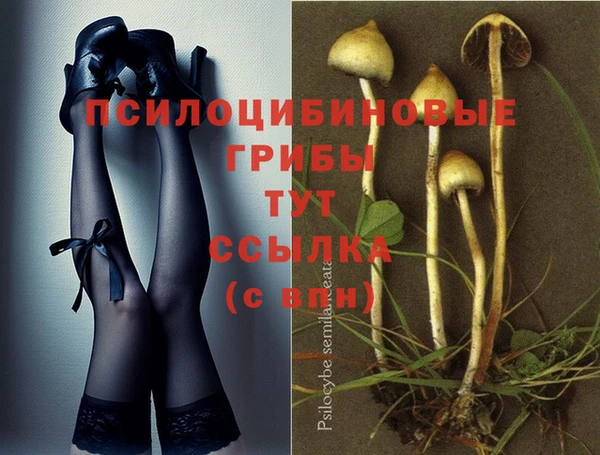спиды Арсеньев