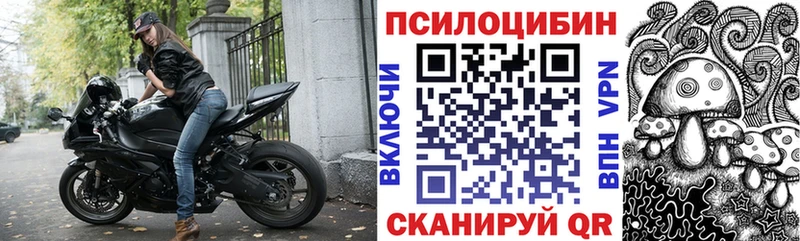 Галлюциногенные грибы Psilocybe  Сурск 